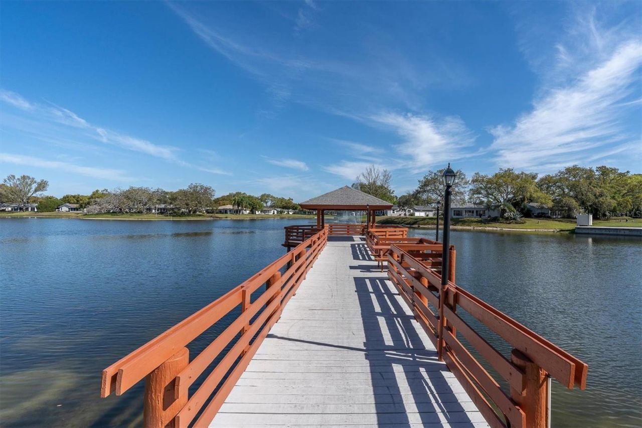 11120 Sandtrap Drive, Port Richey, FL 34668 Photo