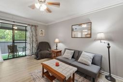 10301 N Kings Hwy. photo 4