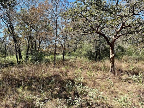 TBD Flash CIR, Luling, TX 78648