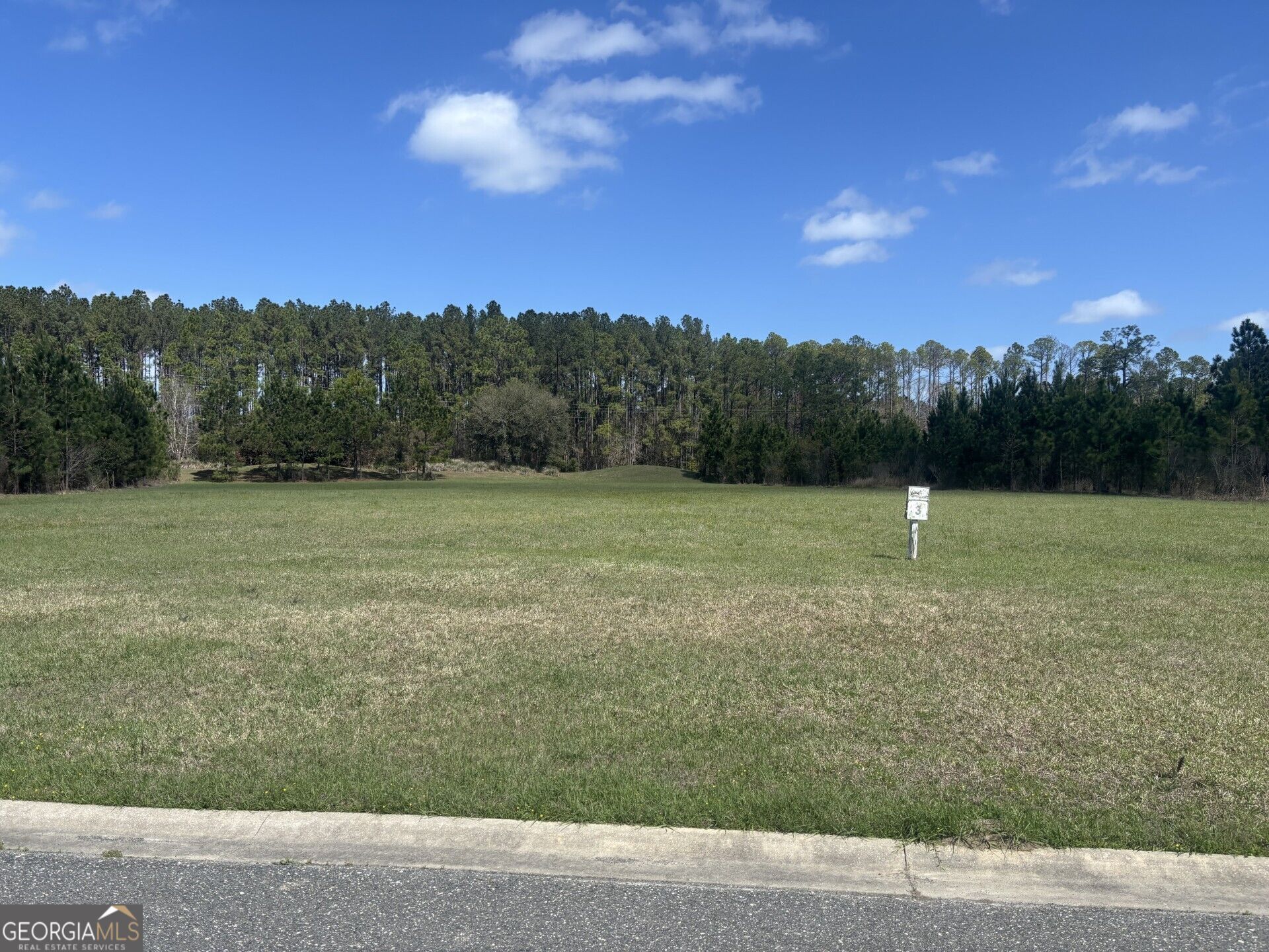 111 Longshore Drive, Kingsland, GA 31548 Main Photo