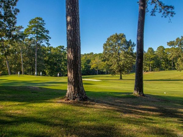 20 Durango Way, Hot Springs Village, AR 71909