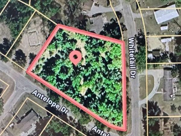 0000 Antelope Drive, Prudenville, MI 48651