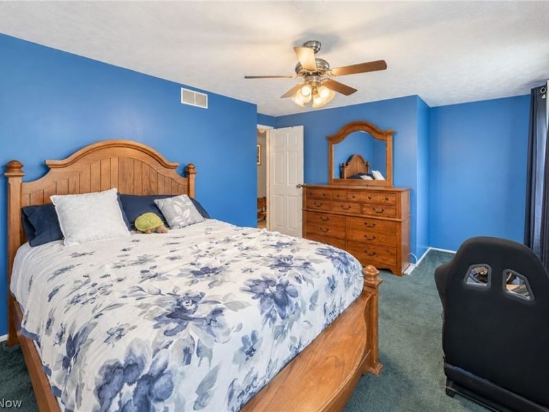 2594 Lydia Drive SW, Lordstown, OH 44481 Photo 27