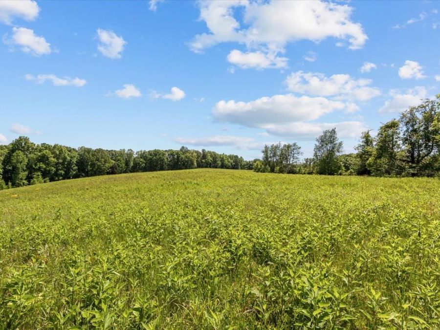 Property Image 70