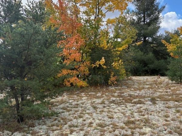 2805 Tagalder Trail, Gaylord, MI 49735