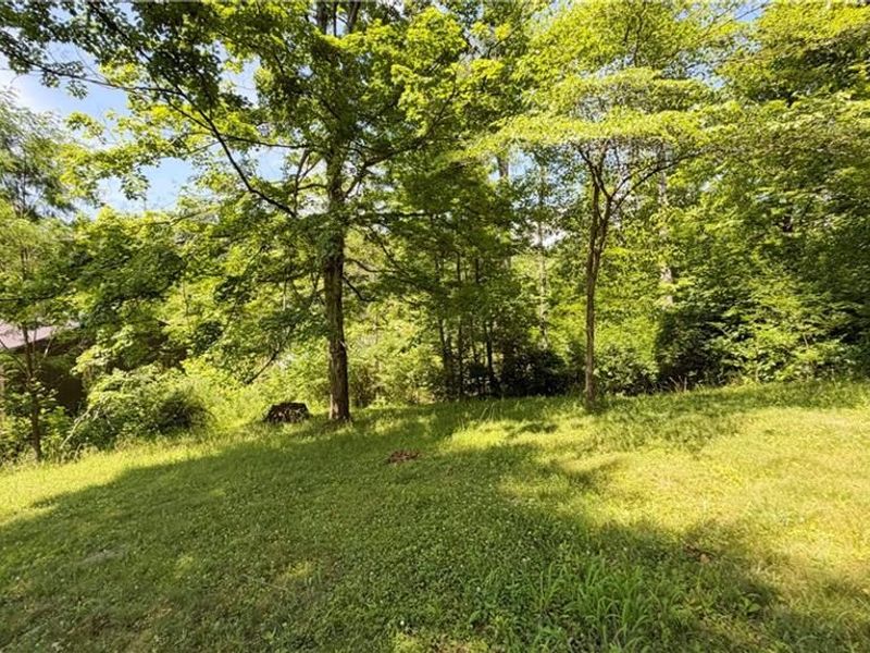 6276 Cedar Springs Road, New Paris, OH 45347 Photo 10