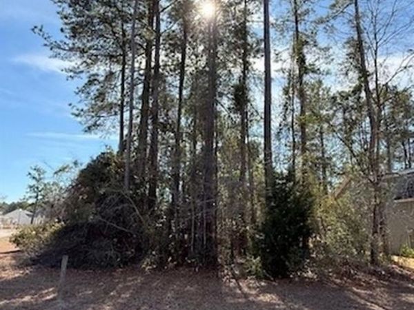 2001 Spring Valley Ct. , Loris, SC 29569