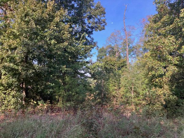 TBD Tucker Road , Hardy, AR 72542