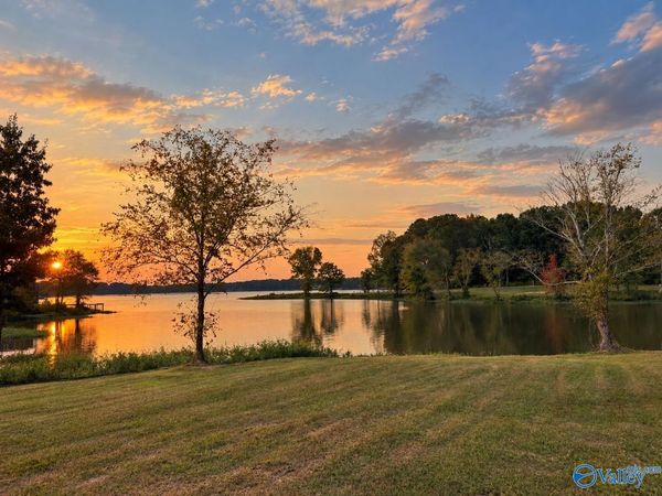 Lots 47, 1-3 County Road 115, Cedar Bluff, AL 35959