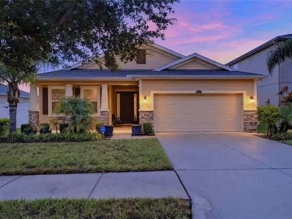 10619 SCENIC HOLLOW DRIVE , RIVERVIEW, FL 33578