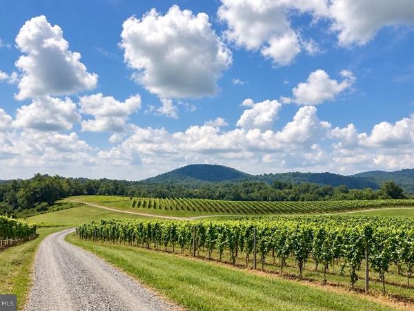 51 VINEYARD LANE , WOODVILLE, VA 22749