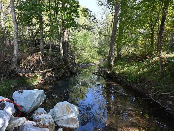 1395 Treadwell Prong Rd , Linden, TN 37096
