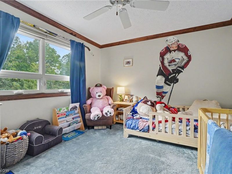207 N Hayden Parkway, Hudson, OH 44236 Photo 35