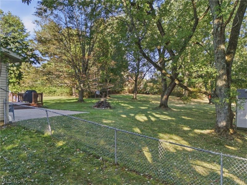 1745 Orchard Drive, Akron, OH 44333 Photo 33