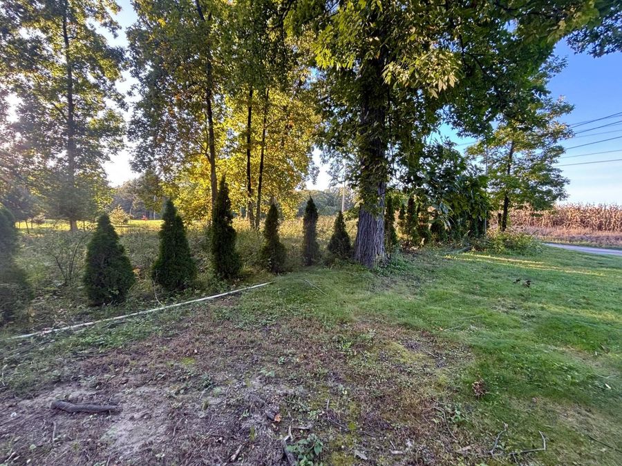 Property Image 54