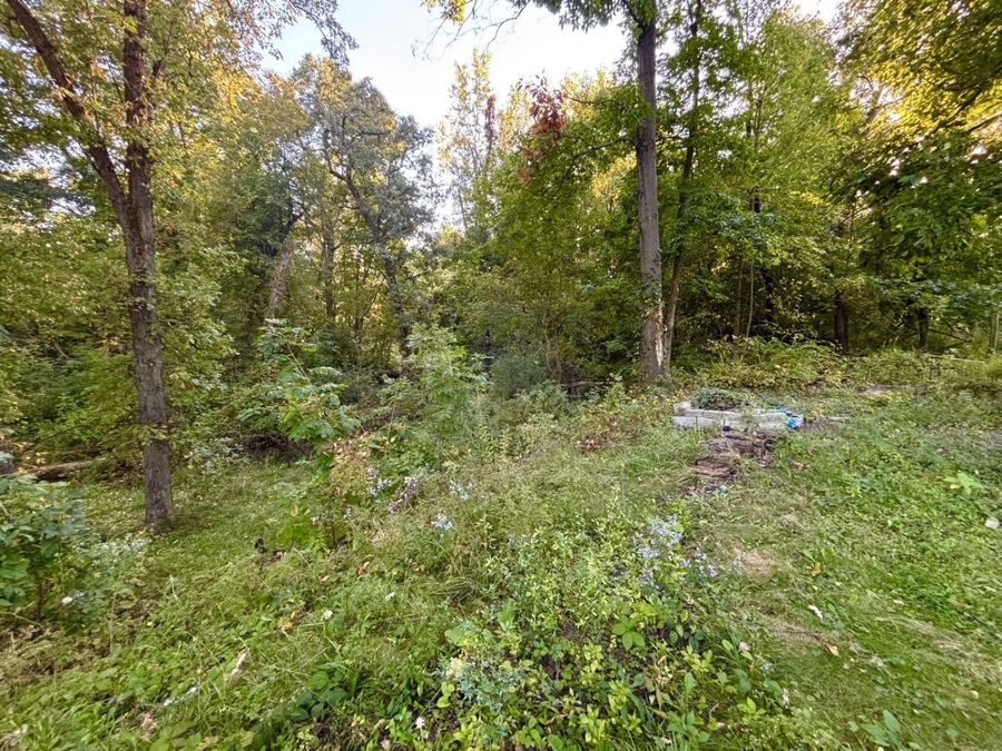 Property Image 55
