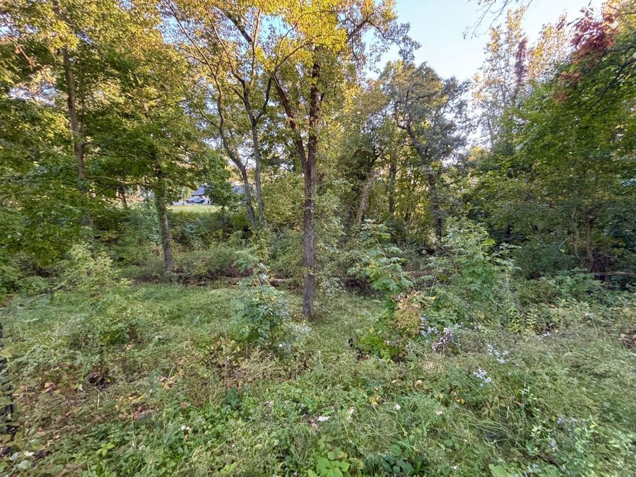 Property Image 57
