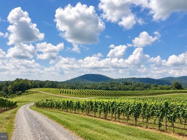 51 VINEYARD LANE , WOODVILLE, VA 22749
