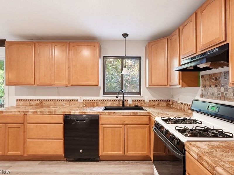 10472 Woodchuck Court, Twinsburg, OH 44087 Photo 13