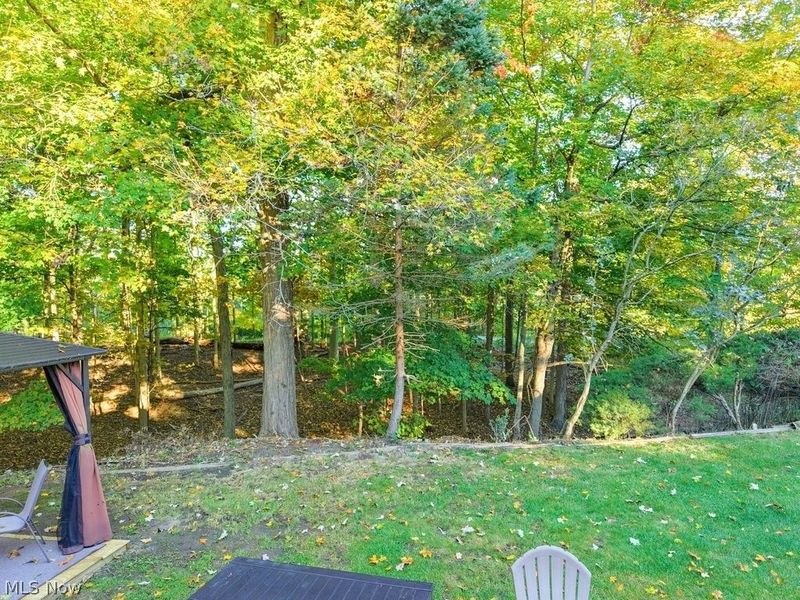 10472 Woodchuck Court, Twinsburg, OH 44087 Photo 41
