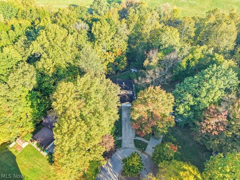 10472 Woodchuck Court, Twinsburg, OH 44087 Photo 43