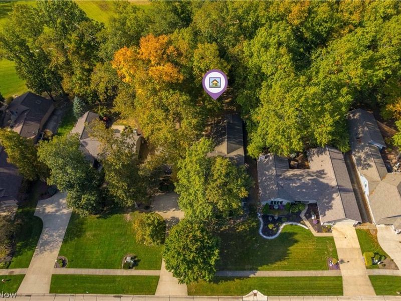 8784 Gatewood Drive, North Ridgeville, OH 44039 Photo 2