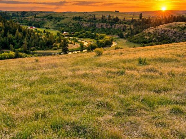 Lot 32 Red Tail Ridge, Colfax, WA 99111