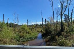 00 Todd Creek Rd And Wisp Rd photo 4