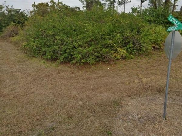 6200 Forest COURT , FL 33935