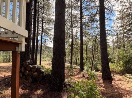 115 Main St, Gold Run, CA 95717 Photo