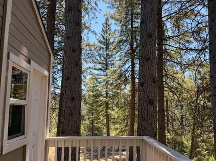 115 Main St, Gold Run, CA 95717 Photo