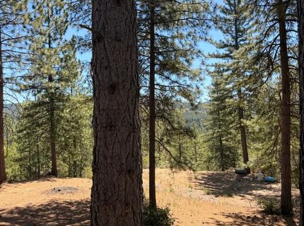 115 Main St, Gold Run, CA 95717 Photo