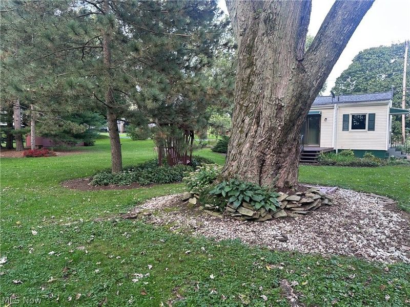 4131 Alabama Avenue NW, North Lawrence, OH 44666 Photo 12