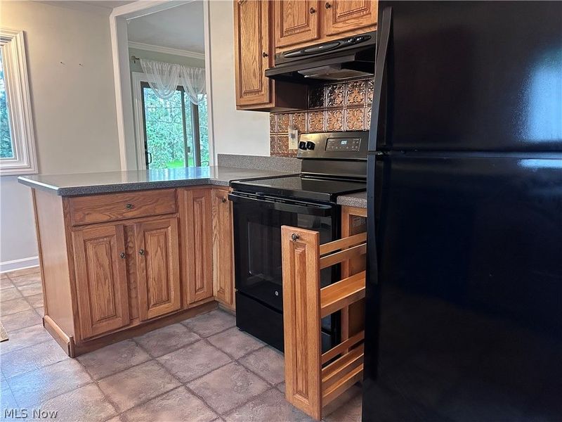 4131 Alabama Avenue NW, North Lawrence, OH 44666 Photo 27