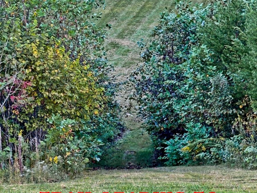 Property Image 57