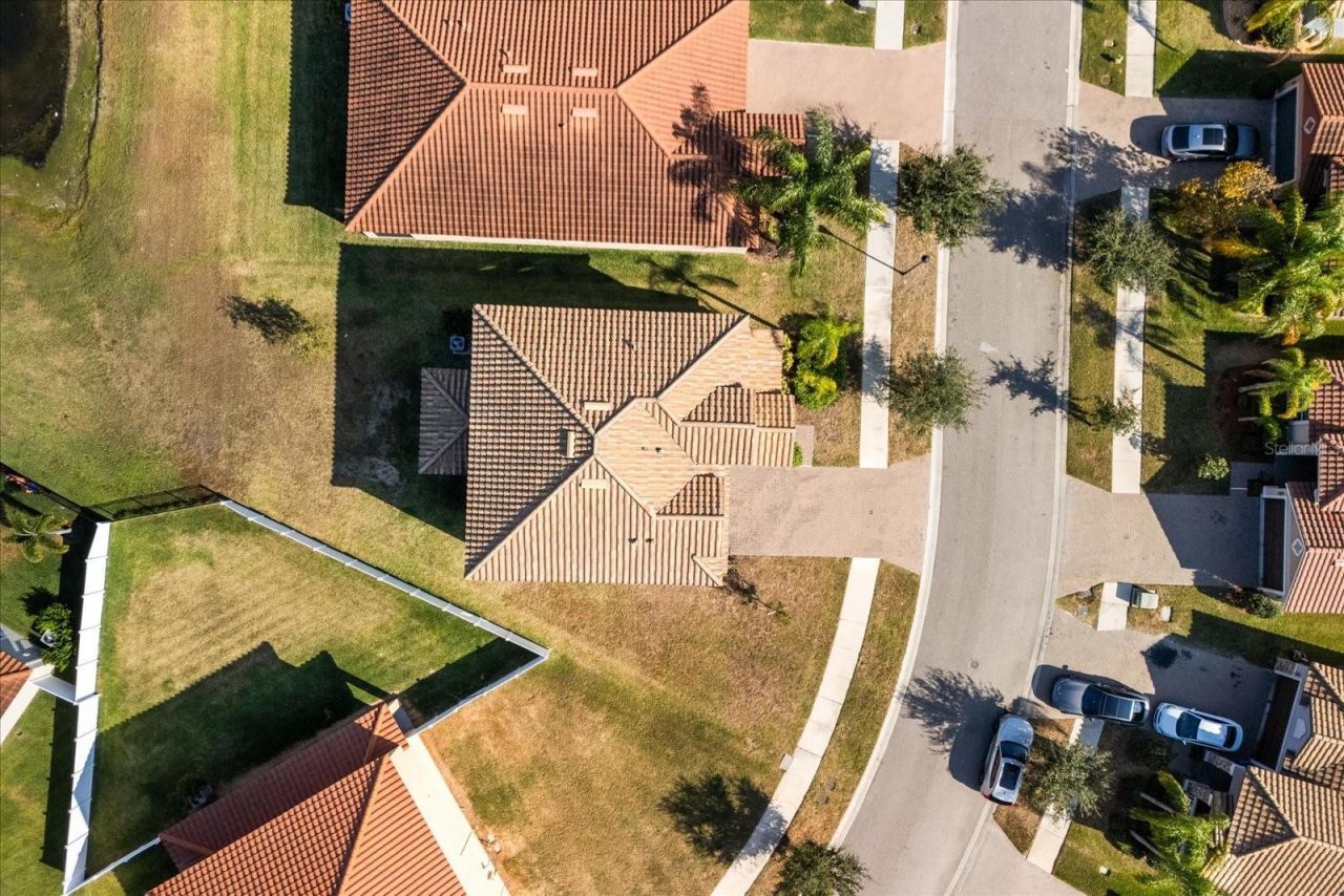 12036 Cardinal Flower Drive , Riverview, FL 33579 Photo