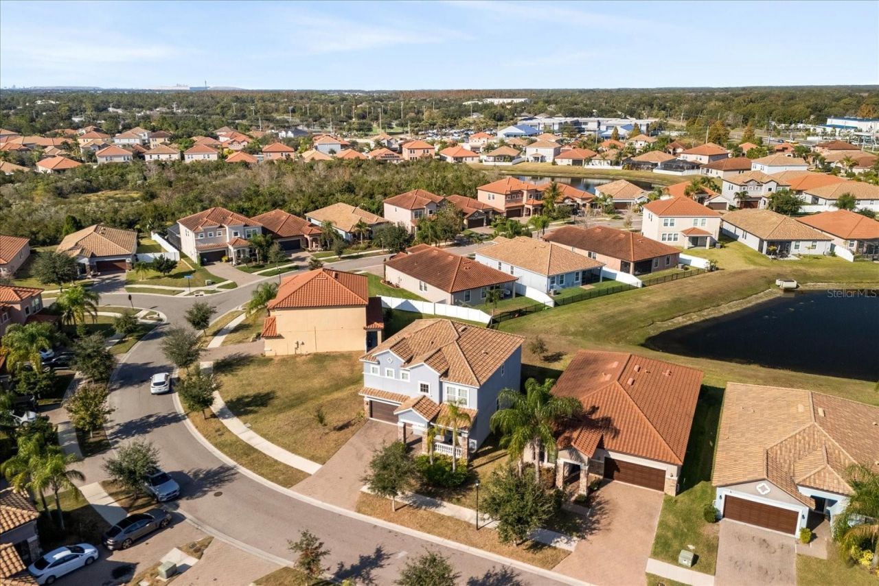 12036 Cardinal Flower Drive , Riverview, FL 33579 Photo