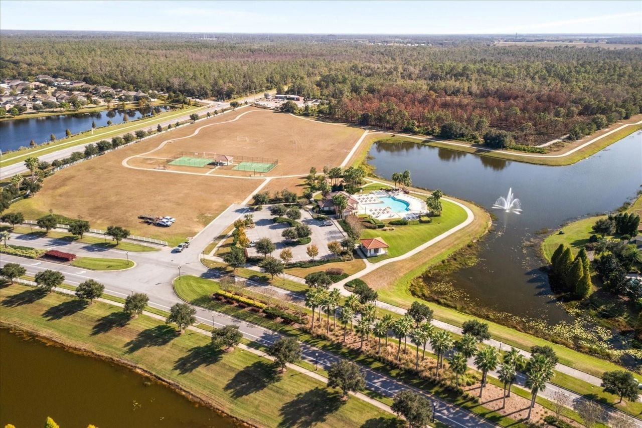 12036 Cardinal Flower Drive , Riverview, FL 33579 Photo