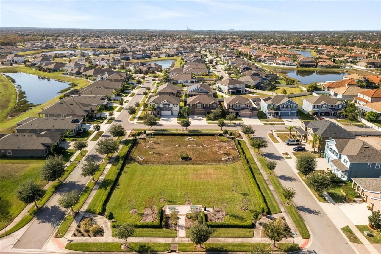 12036 Cardinal Flower Drive , Riverview, FL 33579 Photo