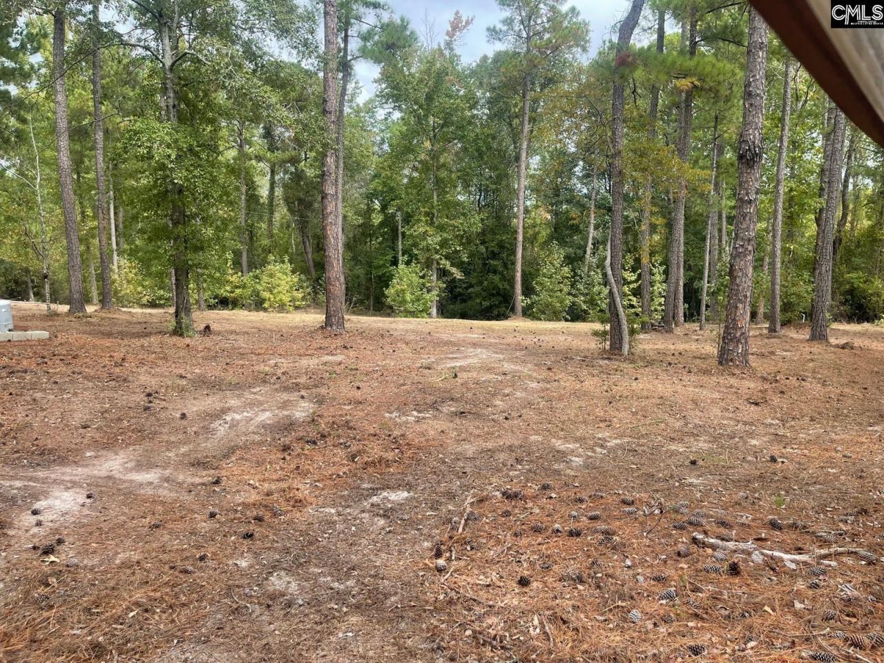 3520 Richardson Road  Photo 5