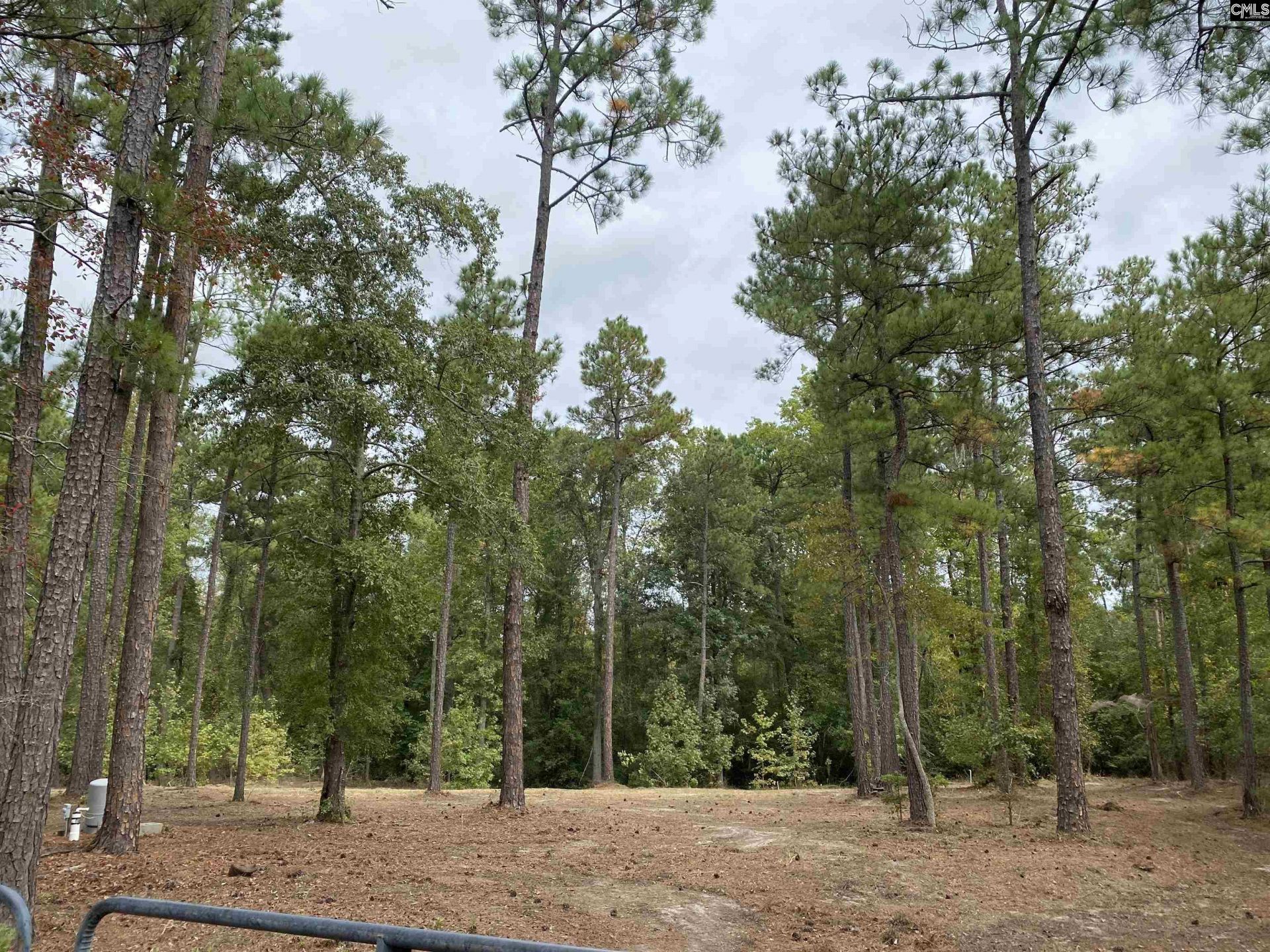 3520 Richardson Road  Photo 6