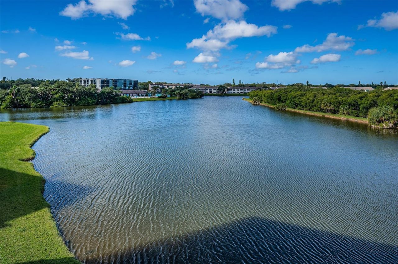 6450 Shoreline Drive , Unit 9203, Seminole, FL 33708 Photo
