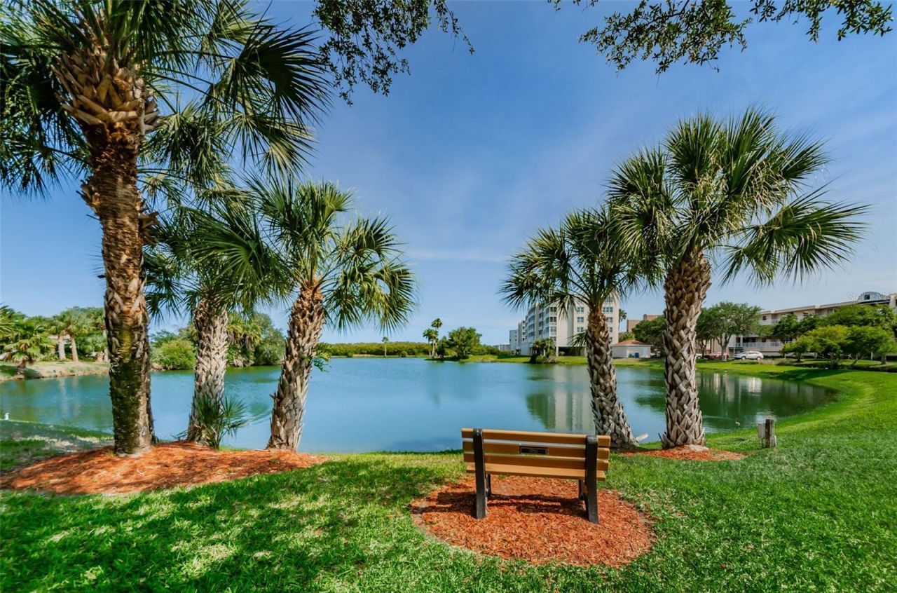6450 Shoreline Drive , Unit 9203, Seminole, FL 33708 Photo