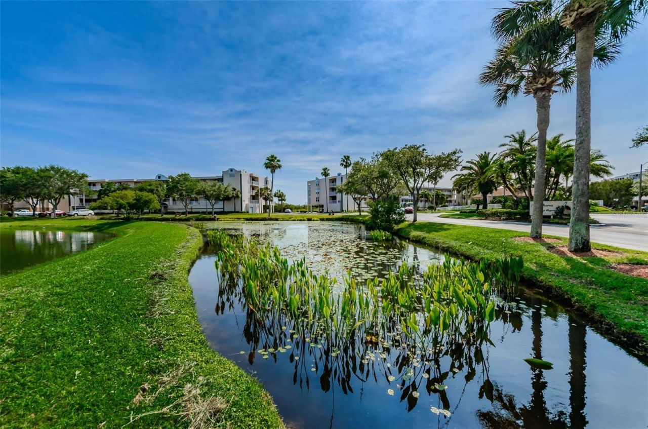 6450 Shoreline Drive , Unit 9203, Seminole, FL 33708 Photo