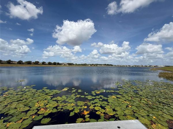 11412 FRESHWATER RIDGE DRIVE , RIVERVIEW, FL 33569
