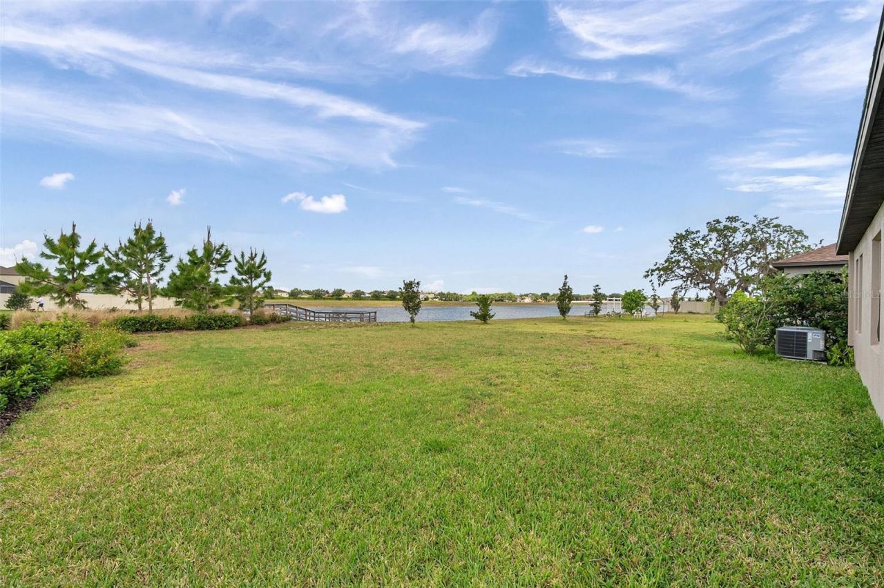 11412 Freshwater Ridge Drive , Riverview, FL 33569 Photo