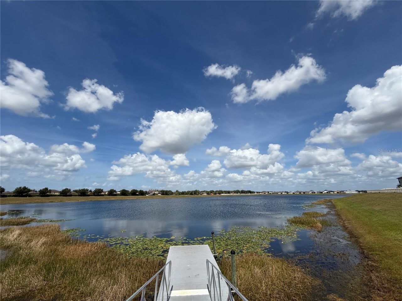 11412 Freshwater Ridge Drive , Riverview, FL 33569 Photo