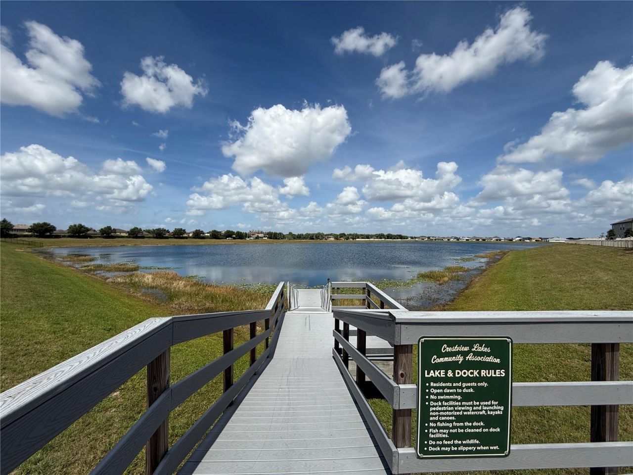 11412 Freshwater Ridge Drive , Riverview, FL 33569 Photo