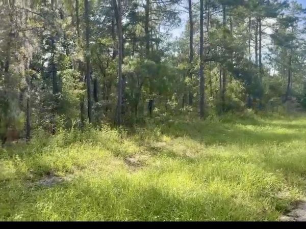 SW 43 CIRCLE , OCALA, FL 34473