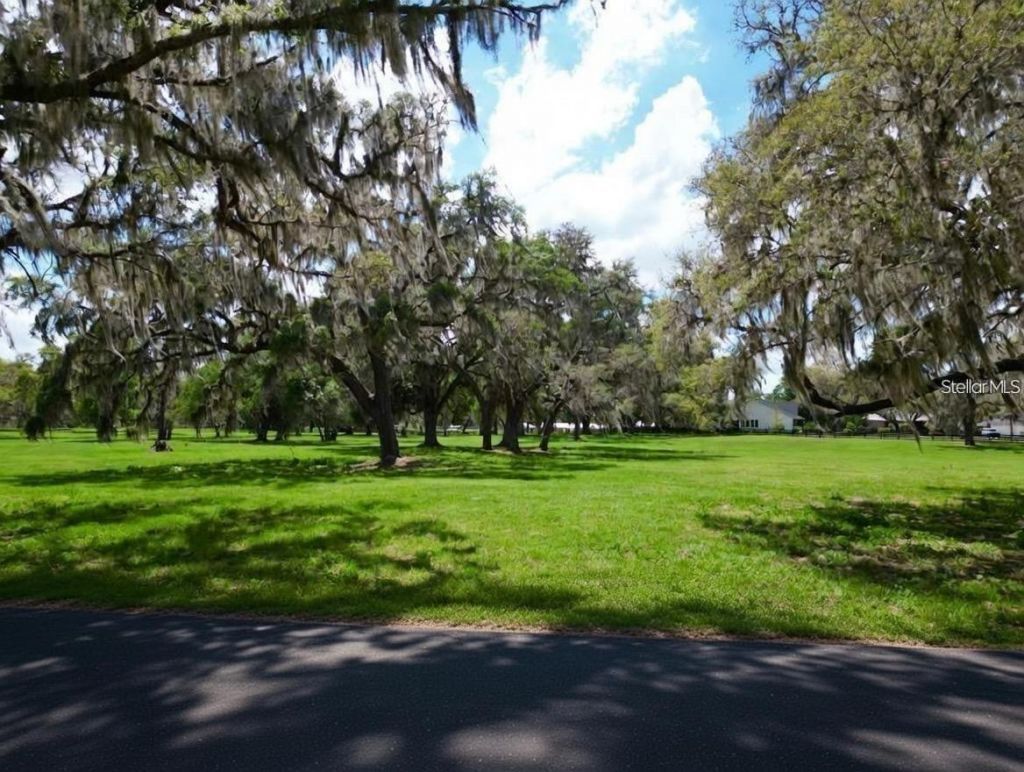 4 Lots SE 115th Street , Belleview, FL 34420 Photo